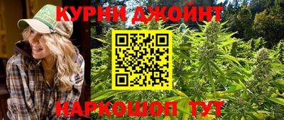 кокс Гатчина
