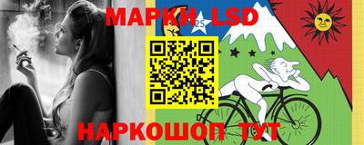 кокс Гатчина