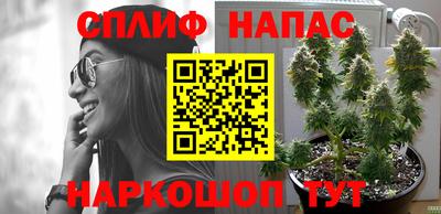 мдпв Гай