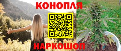 мдпв Гай
