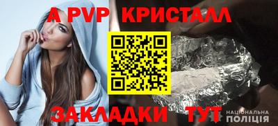 кокс Гатчина