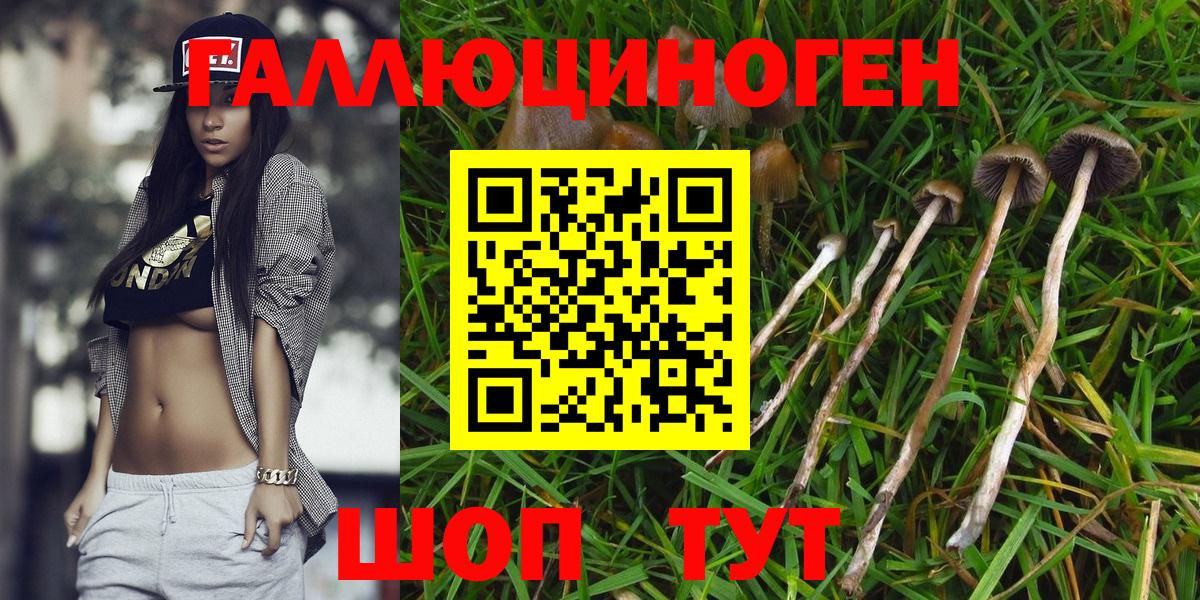 Домодедово  Галлюциногенные грибы мицелий  Вход с VPN  Псилоцибиновые грибы Psilocybine cubensis 